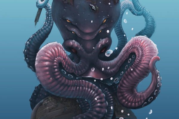 Kraken даркнет переходник