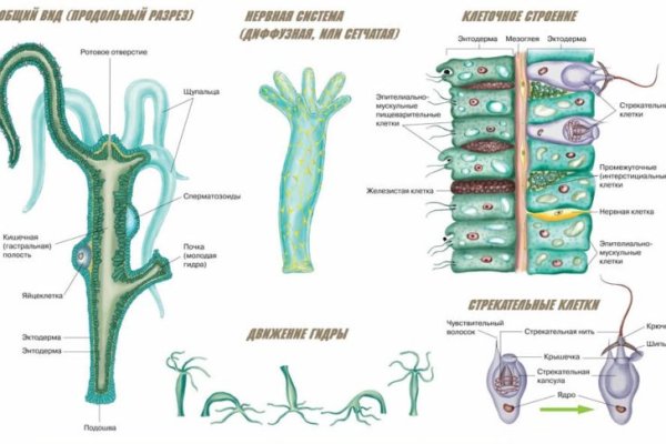 Kraken 15 at