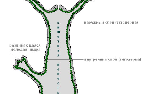 Почему не работает кракен сегодня